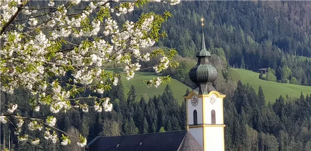 Söll im Frühjahr