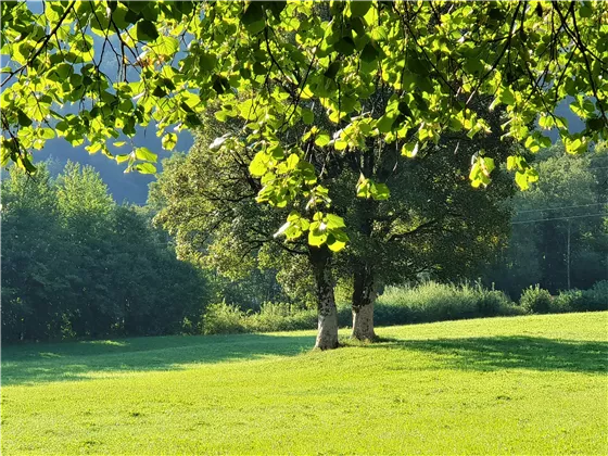 Söll im Herbst 2