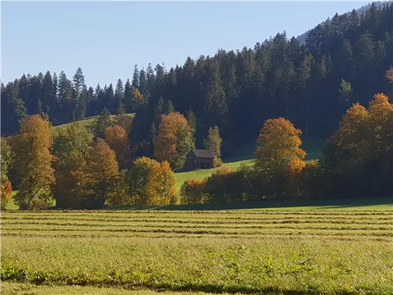 Söll im Herbst 3