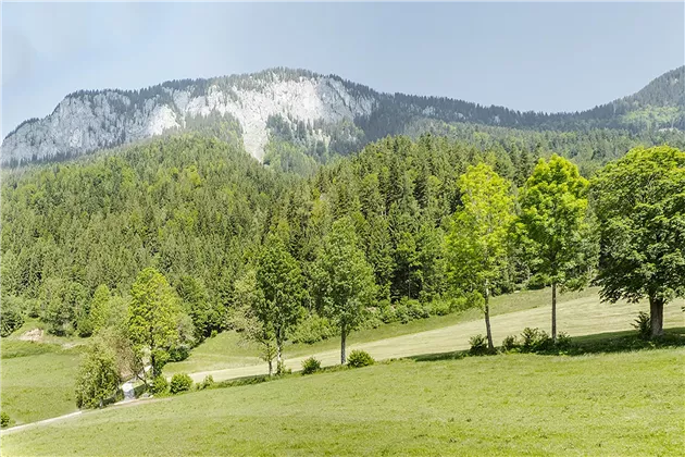 Söll-Landhaus-Ager-Gartenzimmer-Aussicht-Poelven