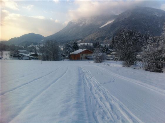 Söll_Rückseite Haus mit Loipe