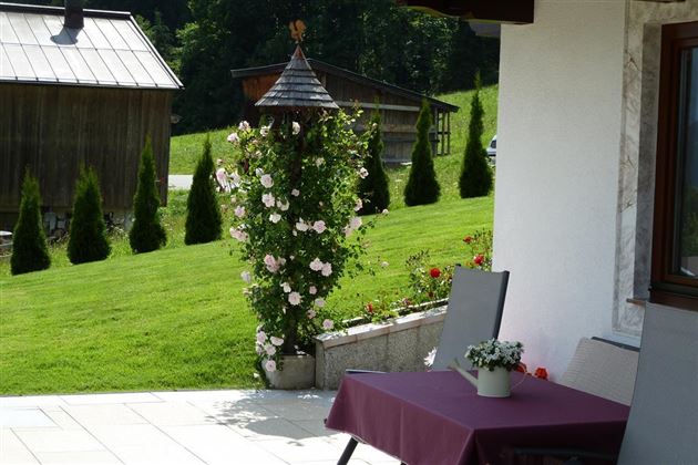 Sommer Garten