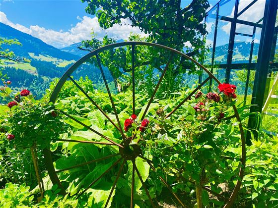 Sommer Garten Hinting