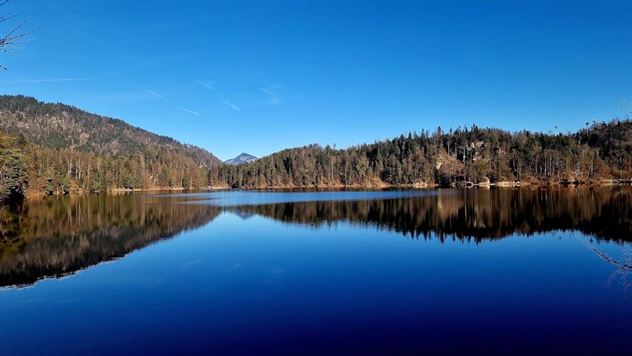 Een rustige meer omgeven door hoge bomen en bergen. De heldere blauwe lucht weerspiegelt zich in het water.