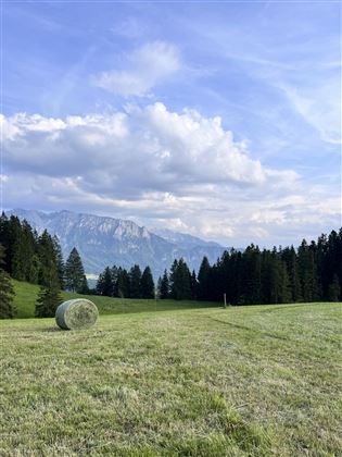 Sommer Kaiserblick