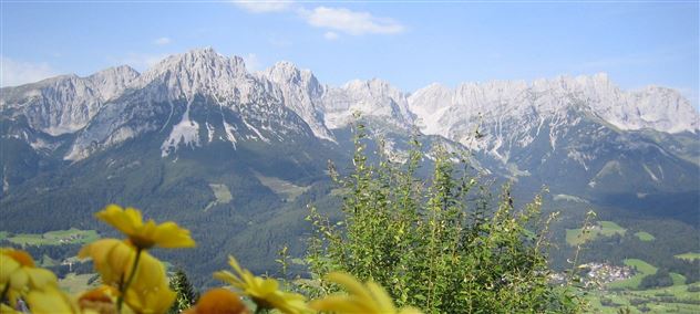 Sommerimpressionen