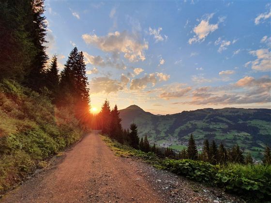 Ein malerischer Weg in den Bergen während des Sonnenuntergangs.