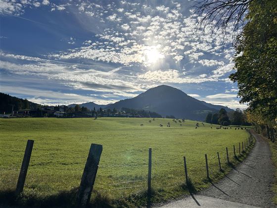 Spazierweg an der Aach 5 min vom Haus