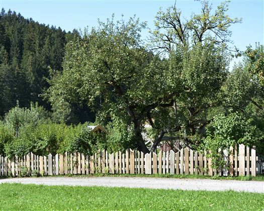 Spielplatz und Spielwiese
