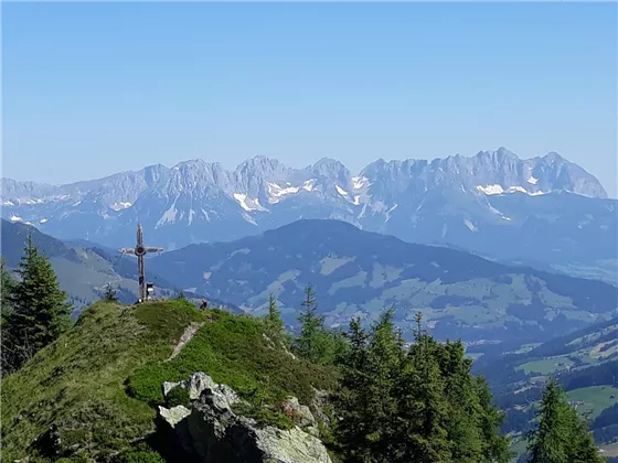 Spießnägel mit Kaisergebirge