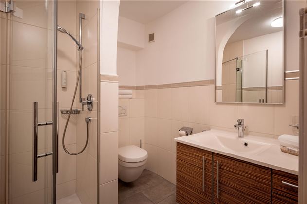 Moderní koupelna s sprchou, WC a radiátorem na ručníky.