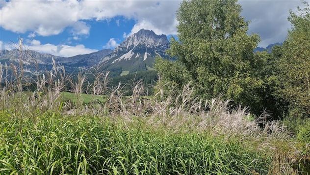 Een groen landschap met hoog gras, bomen en majestueuze bergen op de achtergrond. De lucht is gedeeltelijk bewolkt en geeft een rustige sfeer.
