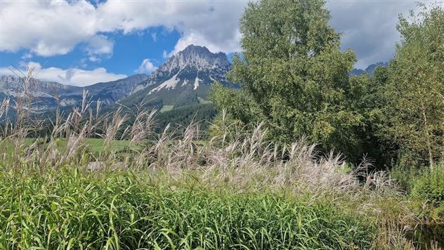 Een schilderachtig landschap met hoge bergen op de achtergrond en weelderig groen op de voorgrond. De wolken aan de hemel geven de scène een vredige sfeer.
