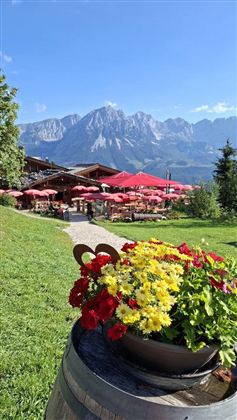 Een pittoresk restaurant met rode parasols en bloeiende bloemen op de voorgrond. Op de achtergrond verrijzen majestueuze bergen onder een heldere blauwe lucht.