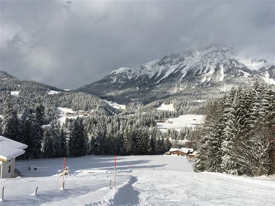 A snow-covered mountain landscape with tall fir trees and majestic mountains in the background. The atmosphere is calm and inviting.