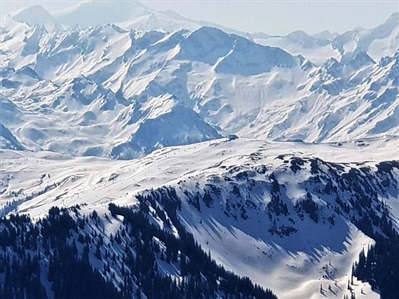 Tauernblick  3