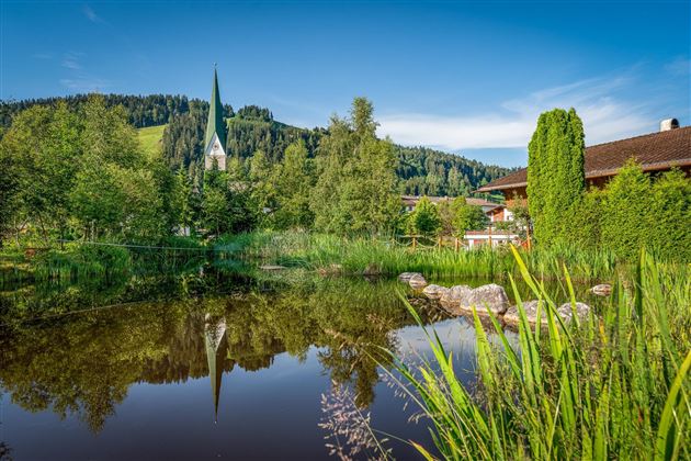Teich und Garten