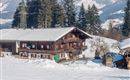 A picturesque chalet in a snow-covered landscape with mountains in the background. The surroundings are tranquil and surrounded by coniferous trees.
