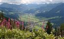En vidunderlig udsigt over dalen fra Brixen og Kirchberg i Kitzbühel. Grønne enge og blomstrende planter præger landskabet under en overskyet himmel.