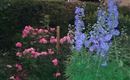 20170624_213058[1]