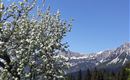 20180430_152543
