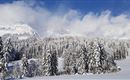 Eine verschneite Landschaft mit hohen, grünen Fichten und schneebedeckten Bergen im Hintergrund. Der Himmel ist klar mit einigen Wolken.