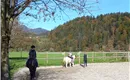 Reiten mit unsrer Hannah