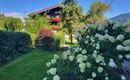 A beautiful garden with lush flowers and shrubs. In the background stands a wooden house and there is a blue sky.