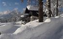 A charming house in the snow, surrounded by snowy trees and a clear blue sky. The winter landscape radiates tranquility and peace.