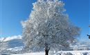 Aussicht Winter von Terrasse