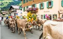 Almabtrieb