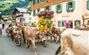 Almabtrieb
