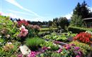 Ansicht Garten