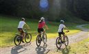 Drie personen fietsen op een grindpad. Het landschap is groen, omringd door bomen en zonlicht.