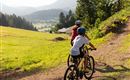 Twee kinderen fietsen op een smal pad in een pittoresk landschap. Op de achtergrond zijn bergen en bossen te zien.
