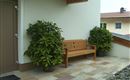 Appartement Gertraud Bank (2)