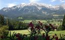 Ausblick auf den Wilden Kaiser