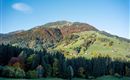 Ausblick Herbst