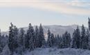 Ausblick nach SW Hartkaiser