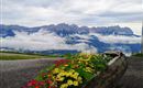 Ein blühender Pflanzkasten mit bunten Blumen steht im Vordergrund. Im Hintergrund sind majestätische Berge und Wolken zu sehen.