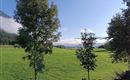 Ausblick von der Küche, Villa Greyhorn