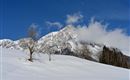 Ein schneebedeckter Berg mit einem klaren blauen Himmel und wenigen Wolken. Im Vordergrund sind kahle Bäume und Wälder zu sehen.