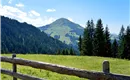Aussicht auf Hohe Salve