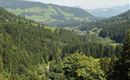 Aussicht ins Tal