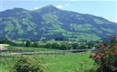 Aussicht Sommer