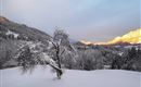A snowy winter landscape with a single tree in the foreground. In the background, wooded mountains rise under a bright sky.