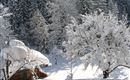 Aussicht zum Gartenhaus aus den Schlafzimmern