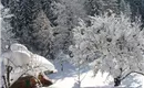 Aussicht zum Gartenhaus aus den Schlafzimmern