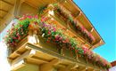 balcon-geranium-tyrol-hotel