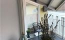 Balkon_Blume